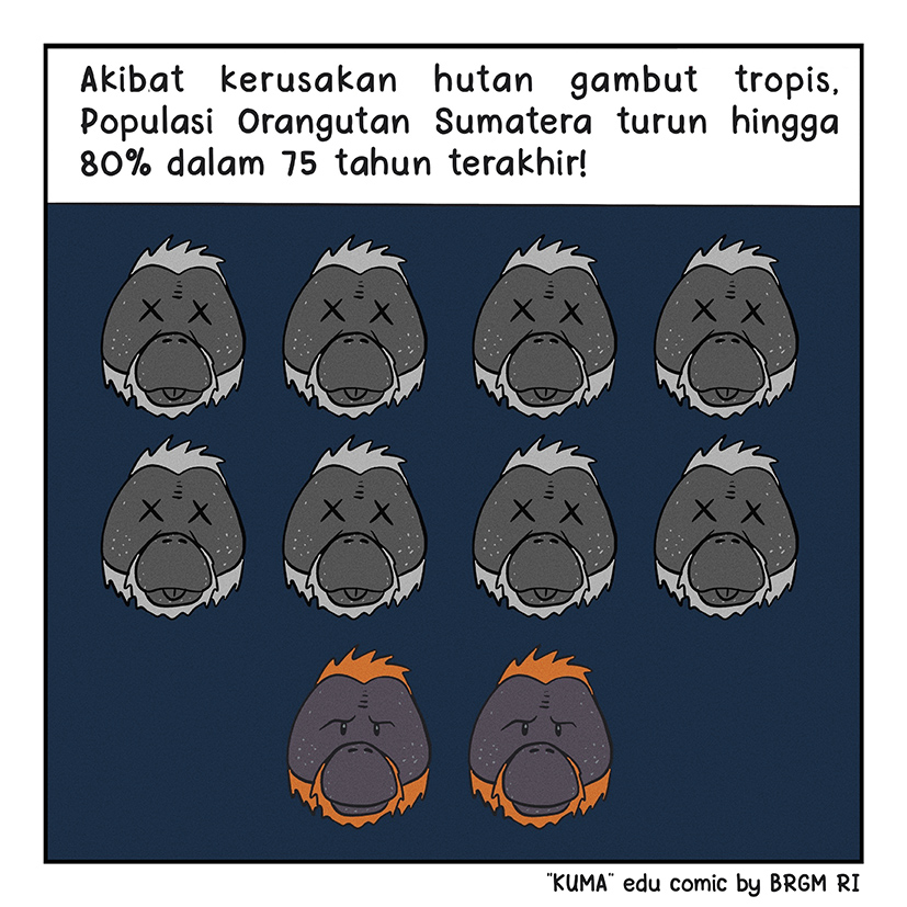 Image 1-10